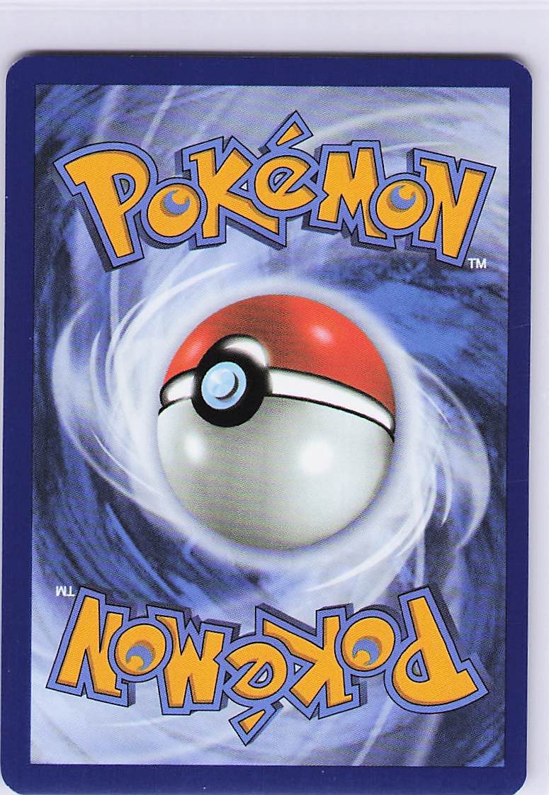 Kecleon Holo Illustration Rare SV08: Surging Sparks 213/191 NM (Back)